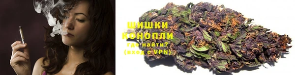стафф Бронницы