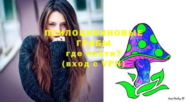 стафф Бронницы