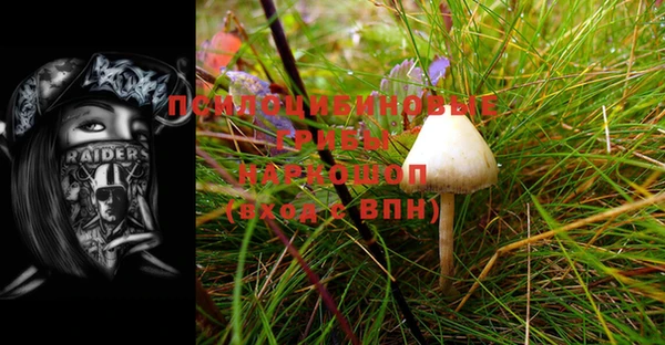 винт Богородицк
