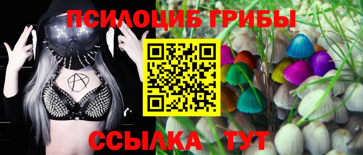 Псилоцибиновые грибы Psilocybe  Псилоцибиновые грибы Psilocybe  Валуйки  Вход с VPN 