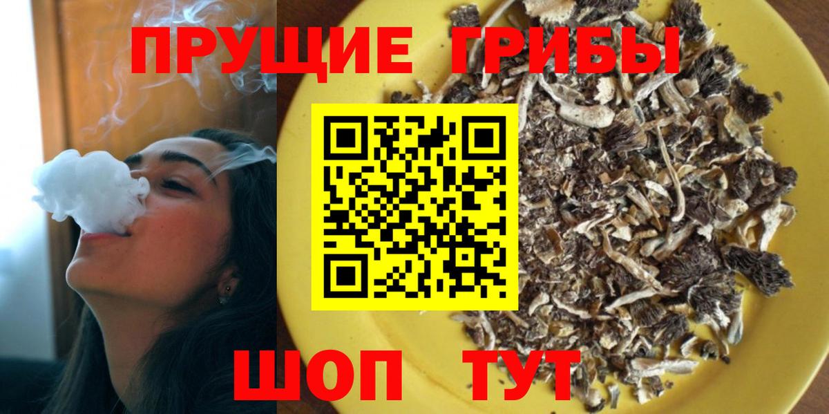 Псилоцибиновые грибы Psilocybine cubensis Валуйки