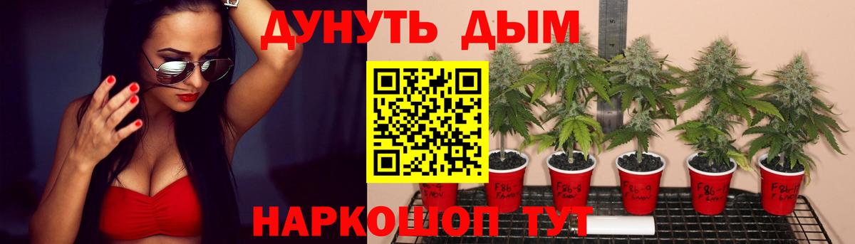 Валуйки  Бошки Шишки AK-47  Бошки марихуана Amnesia  Конопля семена  Вход с VPN 